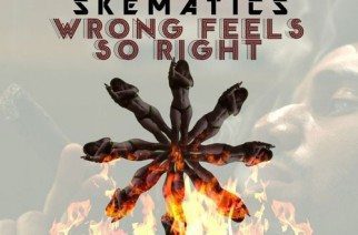 Skematics - Wrong Feels So Right