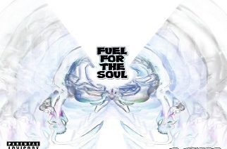 D WEBB - Fuel For The Soul