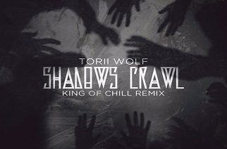 Torii Wolf & DJ Premier - Shadows Crawl (Torii Comes Clean Remix)
