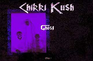 Chikki Kush - Ghost