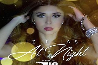 Liz Elias ft. Flo Rida - At Night