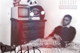 Rodd.D - Surviving The Times
