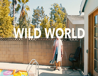 Skipp Whitman - Wild World