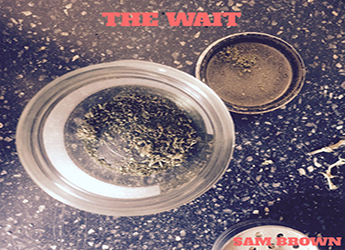 Sam Brown - The Wait