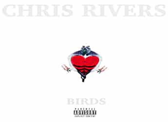 Chris Rivers - Birds