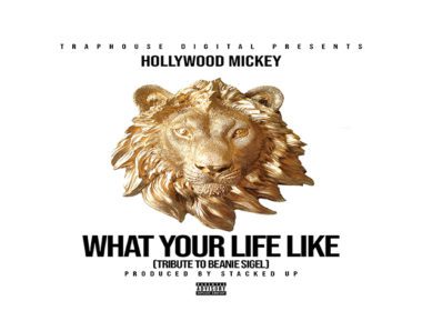 Hollywood Mickey - What Your Life Like