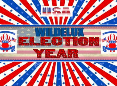 Wildelux - Election Year