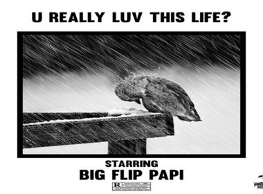 Big Flip Papi - U Really Luv This Life?