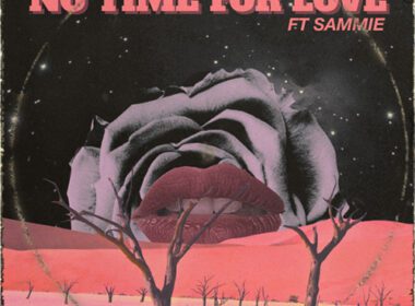 DL ft. Sammie - No Time For Love