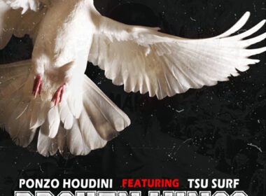 Ponzo Houdini ft. Tsu Surf - Broken Wings