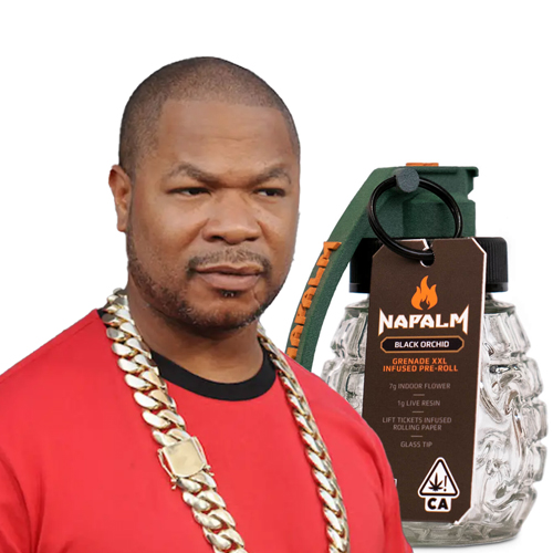 Cannabis Business Owned By Xzibit Vandalized And Robbed