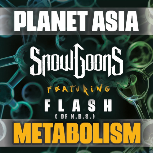 Planet Asia & Snowgoons feat. Flash - Metabolism