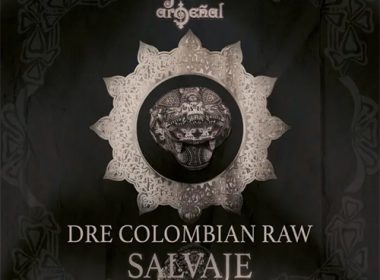 Alejandrito Argeñal feat. DRE Colombian Raw & Josiah The Gift - Salvaje