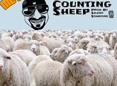 MC WhiteOwl - Counting Sheep