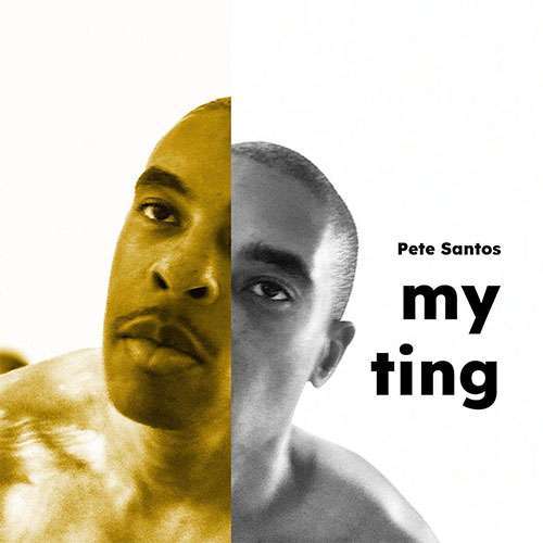 Pete Santos - my ting (lyric video)