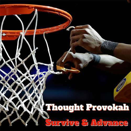 Thought Provokah - Survive & Advance