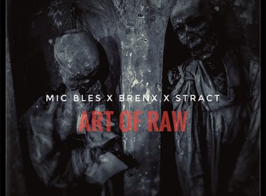 Mic Bles & Brenx feat.Stract - Art Of Raw