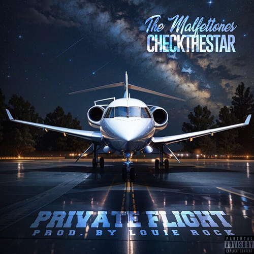 The Malfettones feat. CheckTheStar - Private Flight